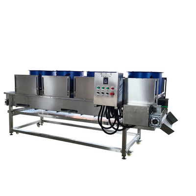 800 kg/h 600 KG 10,1KW Macchina per l'essiccazione di frutta e verdura