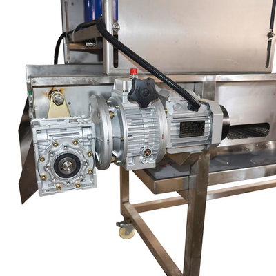 OEM ODM 1000mm cintura 380V Jackfruit frutta asciugatrice industriale