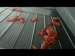 Food continuous frying machine, industrial frying machine, snack fried food processing machine