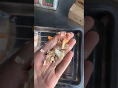 Carbonization Vegetable Fruits Vacuum Deep Fryer Dehydrated