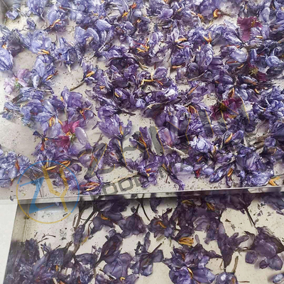 20 m2 Macchine per l'essiccazione sotto vuoto per le fette di frutta vegetali