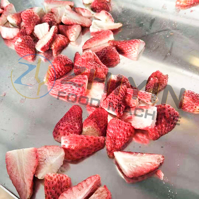 Asciugatrice di alimenti per congelamento Freghe di frutta per congelamento Asciugatura di frutta in polvere Per congelamento di verdura secca