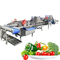 304 Ozone in acciaio inossidabile 2000 kg/h Lavatrice di frutta e verdura