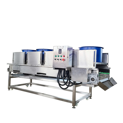 5000*1200*1480MM Macchina per l'essiccazione industriale di frutta e verdura con schermo palpabile PLC