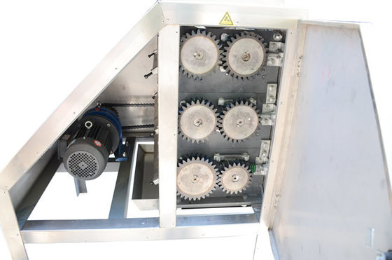 600 kg/h Linea di produzione di semi di soia