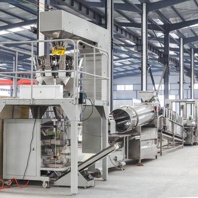 Linea di produzione di patatine congelate in acciaio inossidabile per una maggiore efficienza