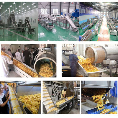 10m*2m*2m e linea di produzione di patatine congelate personalizzabili per patatine fritte